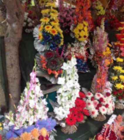 Hari Florist