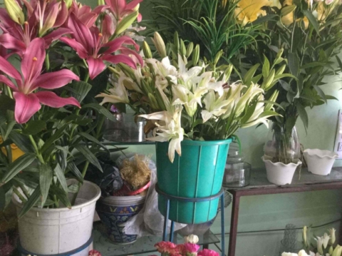 Uttam Florist	