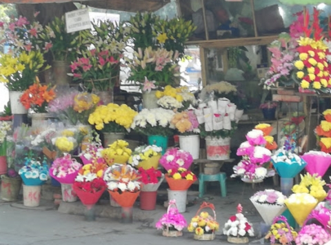 Sai Florist	