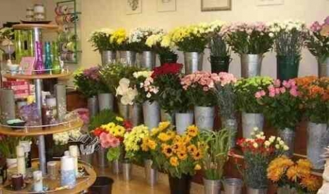 Sanjay Florist	