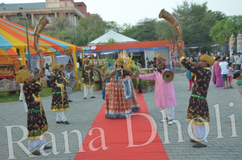 Rana Dholi