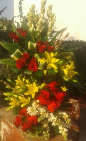 Tulipz The Flower Shop