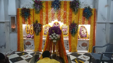 Ragini Flowers n Petals