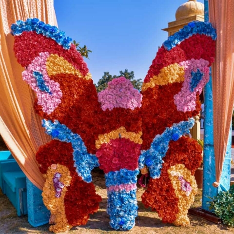 Manish Events Jaisalmer