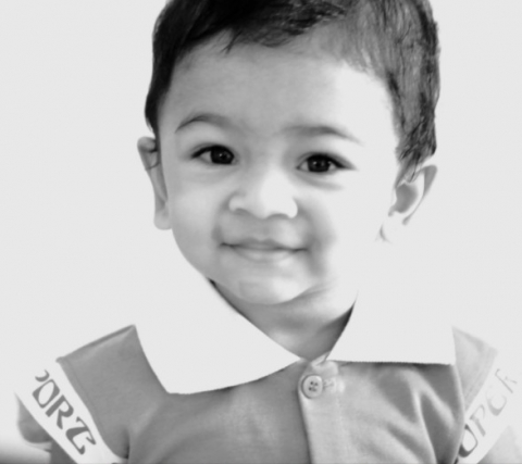 Lens Artist  Photography