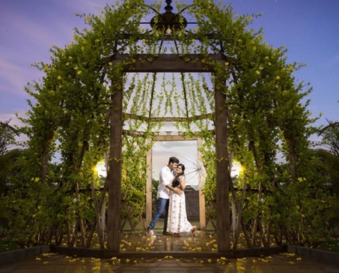 Levels N Curves Creative Studi