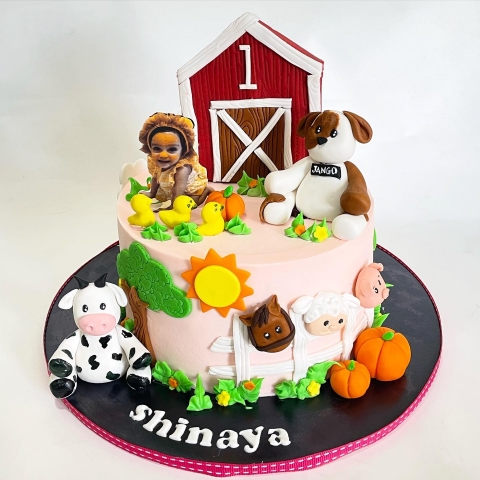 Studio One Four Three