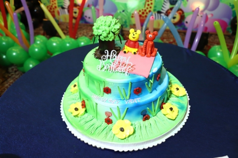 Birthday Photography