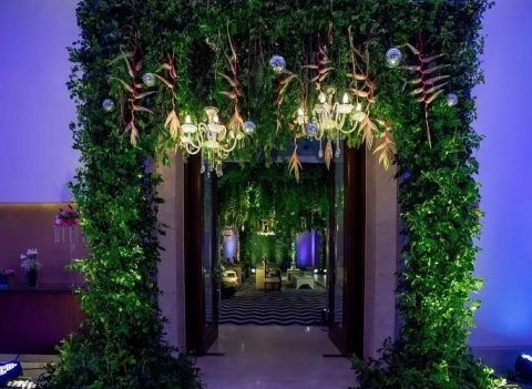 Bougain Villa Design