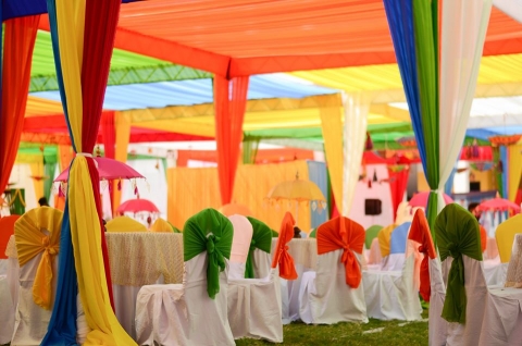 The Family Tree Memoir