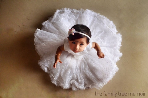 The Family Tree Memoir