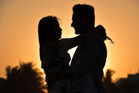 The Family Tree Memoir