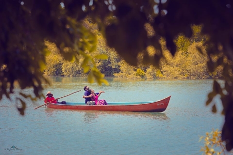 Infinte Wings Studios8