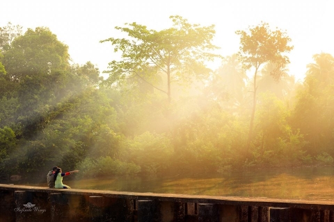 Infinte Wings Studios11