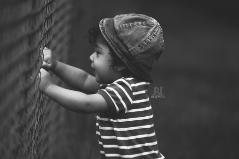 Nevervoid Photography	11