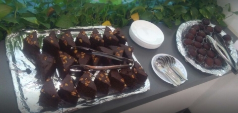 Anjali Services Pvt Ltd