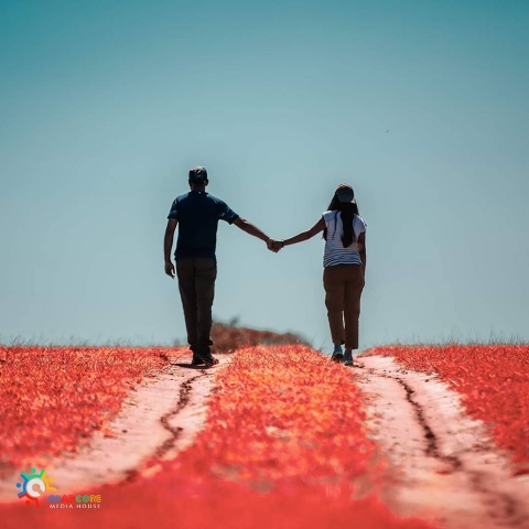 Quadcore Media House	1