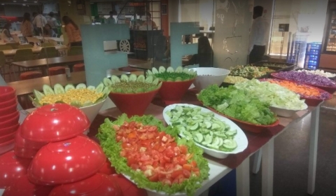 Tulip Institutional Service