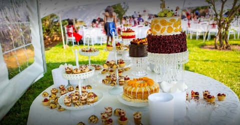 Aarav Caterers