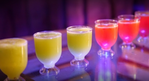 Shree Amantran Hospitality Pvt