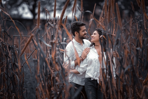 The Picture Square Photography