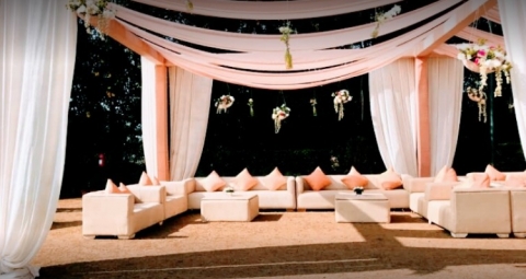 PM Brothers Decorator