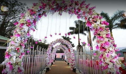 Moonstuck Events And Wedding P