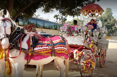 The Rajdhani Brass Band