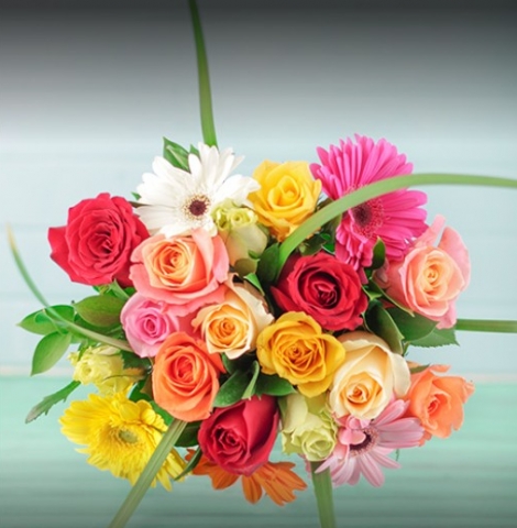 Arena Flowers Jaipur