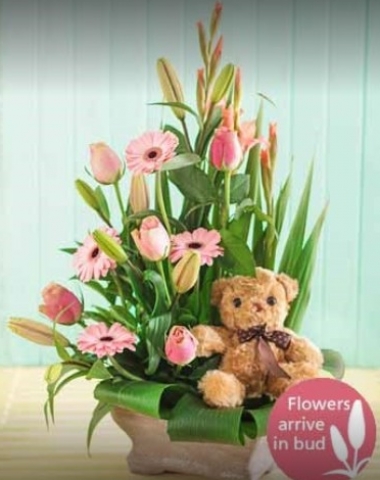 Arena Flowers Jaipur