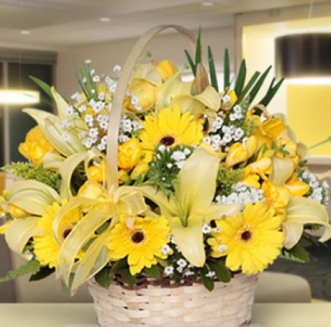 Arena Flowers Jaipur