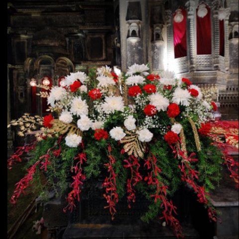 Papillon The House Of Flowers