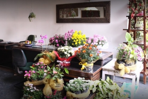 Green House Floral Studios