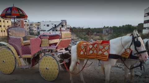 Kings of Punjabi Dhol