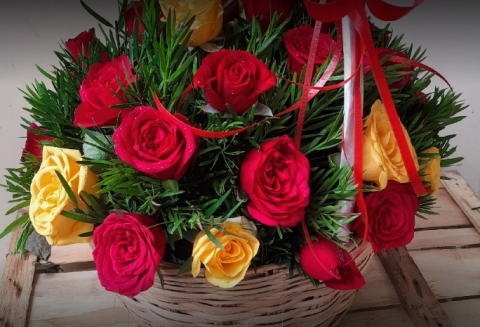 MM Flowers And Traders