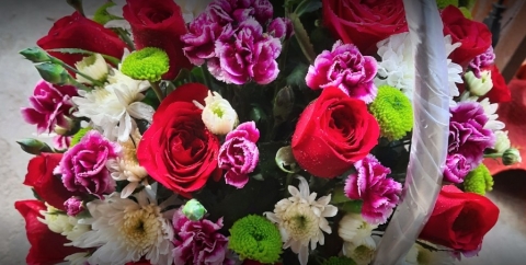 MM Flowers And Traders