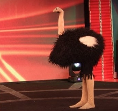 ThrillVeera Entertainment