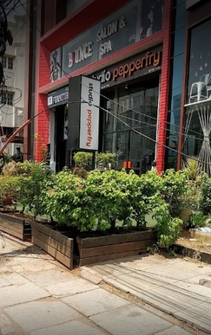 Mayur Golden Florist