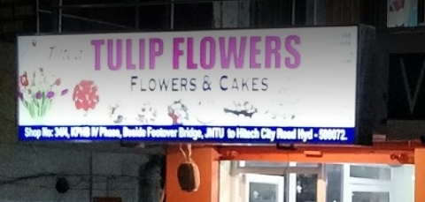 Tilted Tulip Flowers