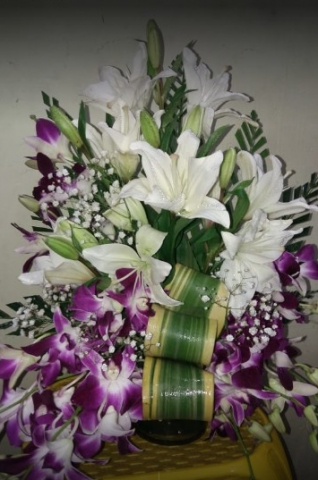 Tilted Tulip Flowers