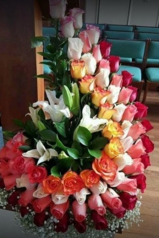 Tilted Tulip Flowers