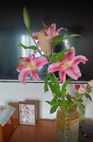 Papillon House Of Flowers