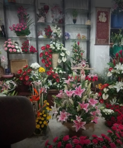 Papillon House Of Flowers