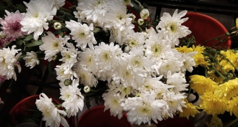 Baisakhis Say It With Flowers 