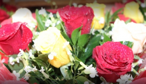 New Lucky Flower Decorators