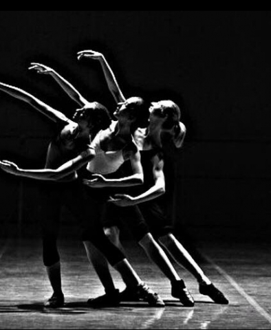 Maestro Kingdom Of Dance