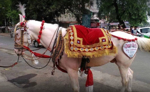 Shri Mahaveer Band Party