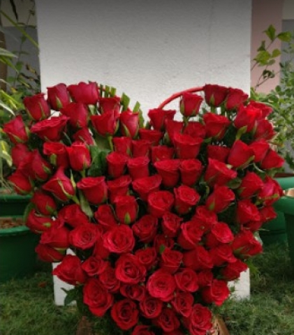 Sagar Flowers N Cakes