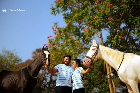 Frozen Moments Photography	11