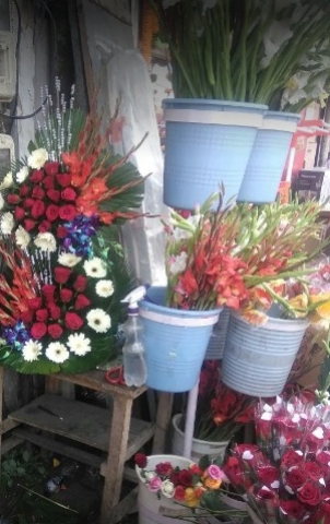 A G Flowers Shop Agra
